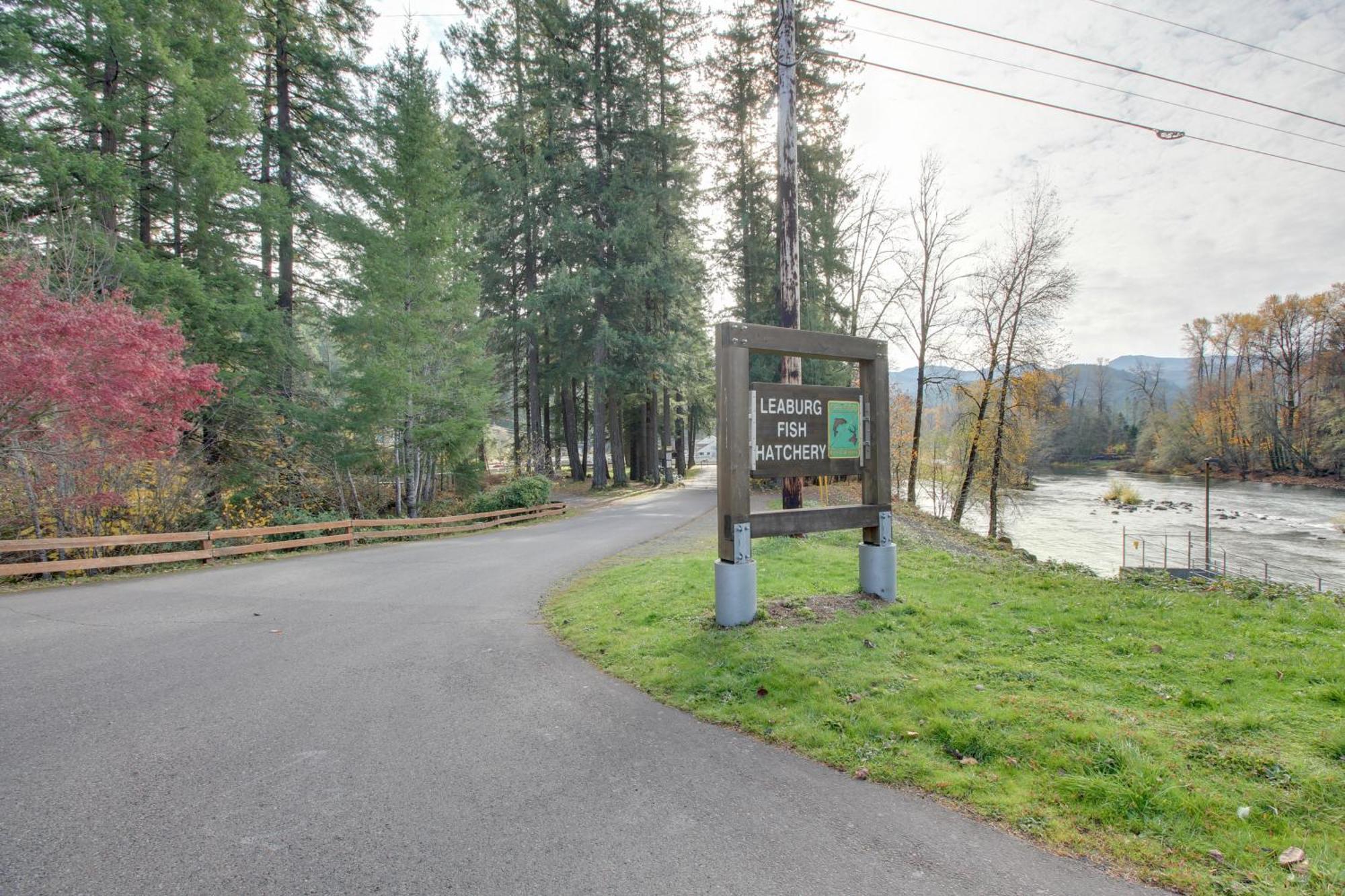 Peaceful Mckenzie River Retreat Fish, Hike, And Ski Vida Exterior foto
